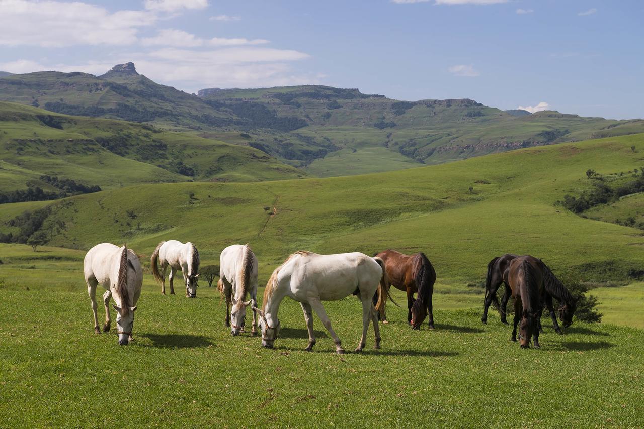 Aha Alpine Heath Resort Jagersrust Dış mekan fotoğraf